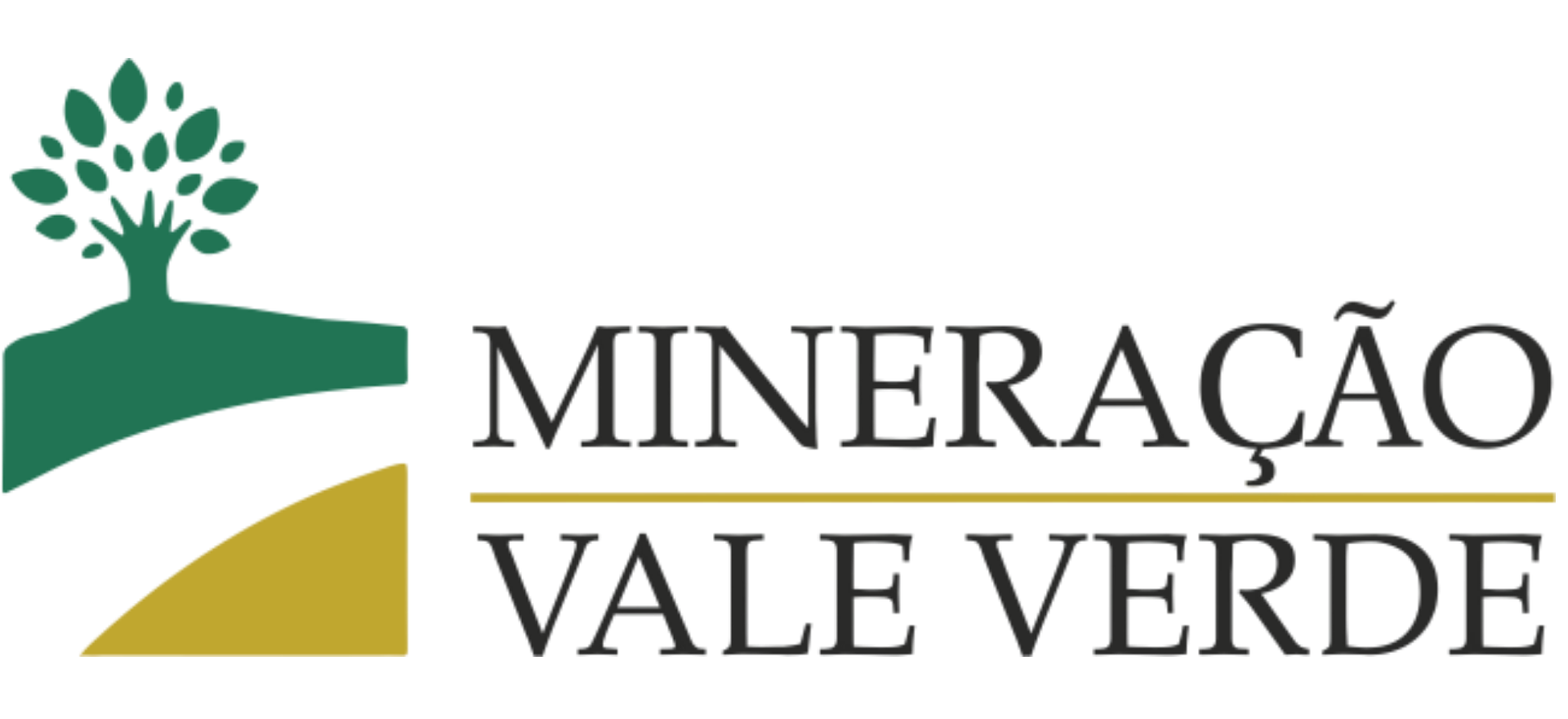 MVV Mineradora Vale Verde